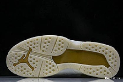 8 Champagne Retro Jordan 1007